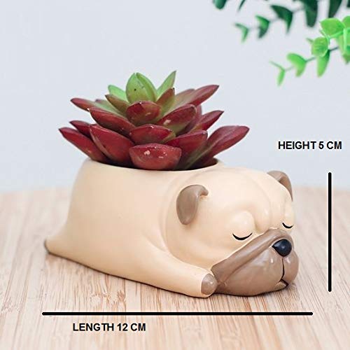 Cute Sleeping Puppy Succulent Planter Pot, Dog Resin Flower Pot, Small Indoor Plant Holder for Succulents, Cactus & Herbs, Decorative Animal Planter for Desk, Home Decor