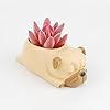Cute Sleeping Puppy Succulent Planter Pot, Dog Resin Flower Pot, Small Indoor Plant Holder for Succulents, Cactus & Herbs, Decorative Animal Planter for Desk, Home Decor
