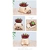 Cute Sleeping Puppy Succulent Planter Pot, Dog Resin Flower Pot, Small Indoor Plant Holder for Succulents, Cactus & Herbs, Decorative Animal Planter for Desk, Home Decor