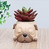 Cute Sleeping Puppy Succulent Planter Pot, Dog Resin Flower Pot, Small Indoor Plant Holder for Succulents, Cactus & Herbs, Decorative Animal Planter for Desk, Home Decor