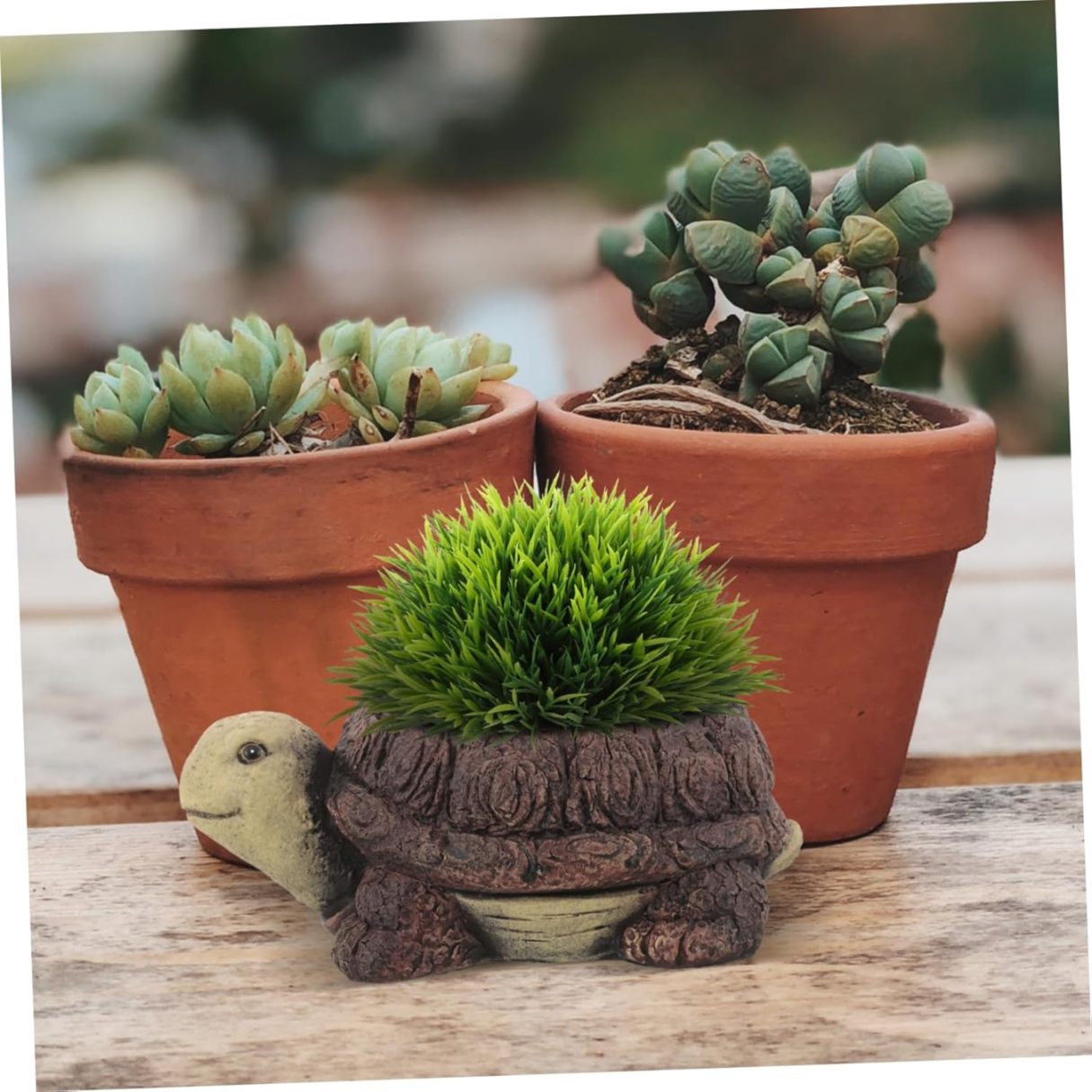 Cute Turtle Shaped Succulent Flower Pot | Handcrafted Resin Turtle Planter | Decorative Animal Design Mini Plant Pot for Desk, Balcony, Home, and Office Decoration