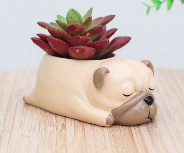 Cute Sleeping Puppy Succulent Planter Pot, Dog Resin Flower Pot, Small Indoor Plant Holder for Succulents, Cactus & Herbs, Decorative Animal Planter for Desk, Home Decor